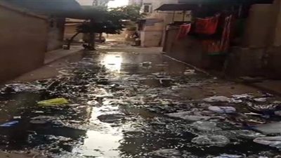 مساكن الجزيرة بكفر الزيات تتحول إلى برك مياه صرف صحي  | فيديو