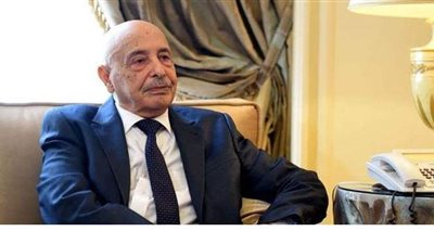 مجلس النواب  الليبي يطالب بوقف إطلاق النار وإعلان سرت مقرا لمجلس رئاسي جديد