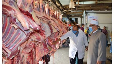 غدا.. الأوقاف توزع 16 طنا من لحوم الأضاحي على الأسر الأولى بالرعاية