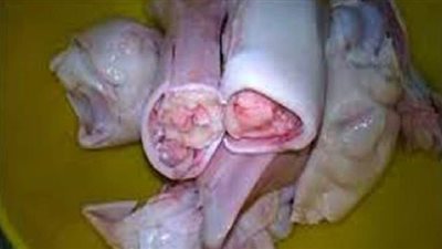 مصادرة لحوم فاسدة قبل بيعها للمواطنين بالشرقية