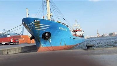 تداول 102 ألف طن و 965 حاوية و  5478 شاحنة بميناء الإسكندرية