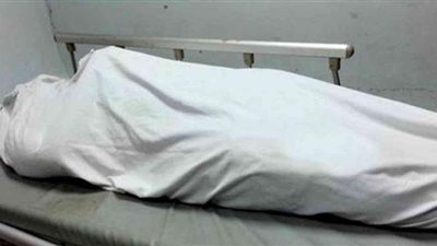 مصرع موظف صدمته سيارة  فى المنصورة