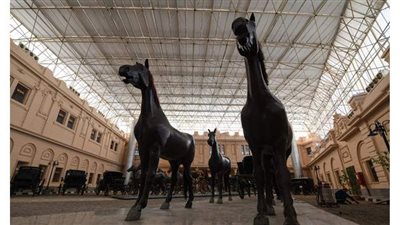 أبرز القطع الأثرية المعروضة بمتحف المركبات الملكية| صور