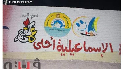 شباب الإسماعيلية ينتهون من تزيين جدران الأندية| صور