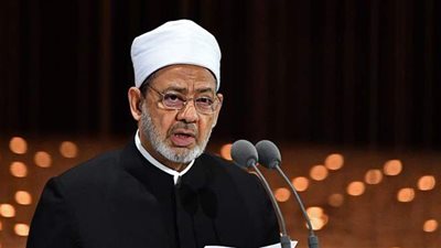 شيخ الأزهر: نتضامن مع جميع ضحايا الإرهاب والتطرف والعنصرية والتعصب