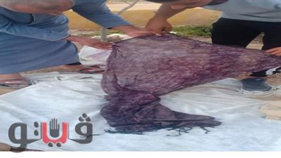 بالصور: مبادرة شباببة لتنظيف المقابر بالإسماعيلية