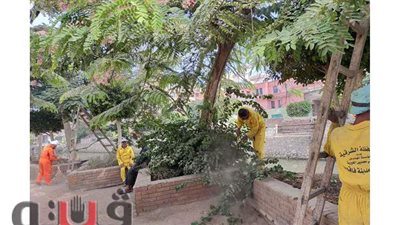 جهود مكثفة لأعمال النظافة  الشاملة بمدينة فاقوس