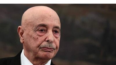 مستشار عقيلة صالح :  تنسيق كامل بين البرلمان الليبي والجيش بشأن وقف إطلاق النار