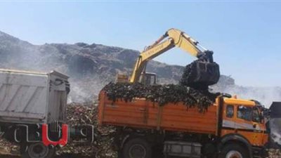 رفع 20 ألف طن قمامة من مقلب منوف في المنوفية | صور