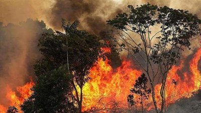 في الذكرى السنوية.. كيف تأثر العالم بحرائق الأمازون ومدى تأثيرها على الدول العربية