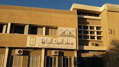 دورة تدريبية عن مكافحة الأمراض بالمحاصيل الحقلية والبستانية في الوادي الجديد