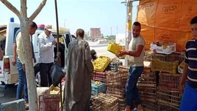 إزالة تعديات الباعة الجائلين بالقنطرة غرب في الإسماعيلية | صور