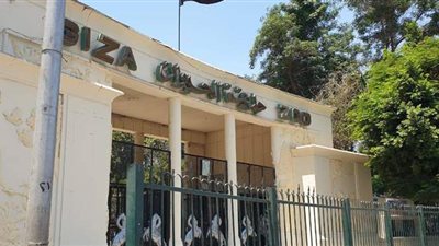 في أول أيام افتتاحها.. 3 آلاف زائر الطاقة الاستيعابية لحديقة الحيوان والدخول بالكمامة | فيديو