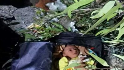 العثور على رضيعة وسط الزراعات في طنطا