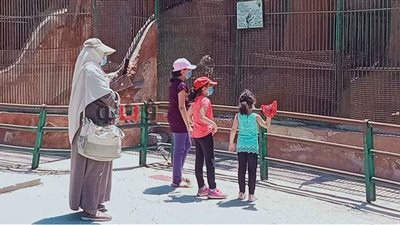 مدير حديقة حيوان الإسكندرية: ملتزمون بالإجراءات الاحترازية لمواجهة فيروس كورونا