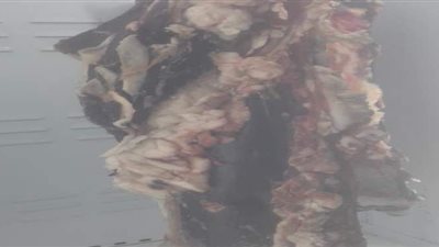 ضبط لحوم فاسدة داخل مطعم بطنطا