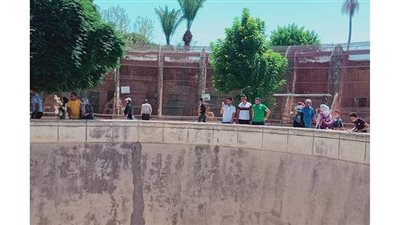 حديقة الحيوان بالاسكندرية: ولادات جديدة للحيوانات خلال فترة الغلق