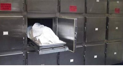 تفاصيل القبض على محام قتل ابنته بالطالبية.. المتهم: قتلتها بسبب هروبها من البيت.. قطعت جثتها نصفين بالمنشار.. ولم أتوقع القبض عليا