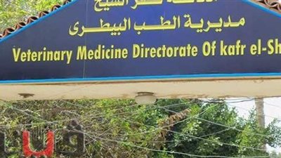 تحصين 13 ألف طائر  بكفر الشيخ وضبط أسماك غير صالحة للاستهلاك