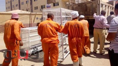 رفع وإزالة حالة تعديات وإشغالات في حملة بمدينة إهناسيا ببني سويف