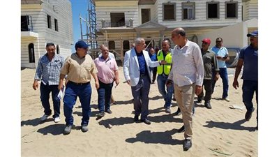 مساعد نائب رئيس 