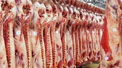 شعبة القصابين : 5 جنيهات زيادة في أسعار الضاني