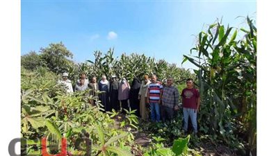 تنفيذ يوم  إرشادي لمحصول فول الصويا  بالشرقية