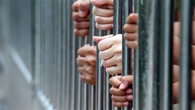 القبض على ٤ أشخاص أثناء تنقيبهم عن الآثار في أجا بالدقهلية