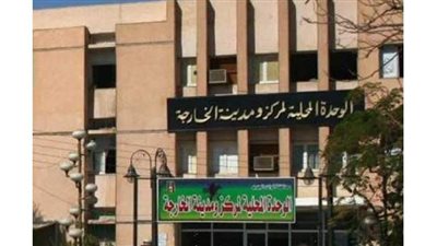 الوادي الجديد تخصص 62 مليون جنيه لتنمية مركز الخارجة