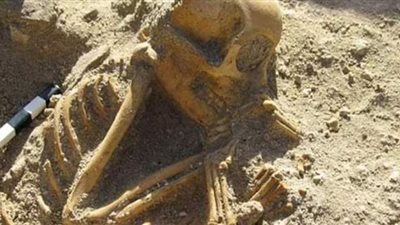 العثور علي مقبرة للقردة عمرها 2000 عام في مصر