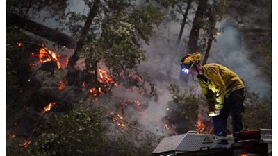 حرائق الغابات تضرب كاليفورنيا.. والنيران تحاصر رجال الإطفاء | فيديو