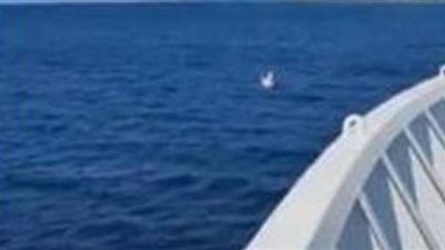 لحظة إنقاذ قائد سفينة يونانية لفتاة عمرها 3 أعوام من الغرق | فيديو