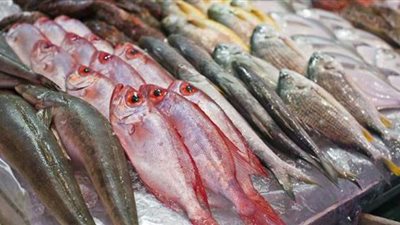 دراسة: فيروس كورونا يتواجد باللحوم والأسماك المجمدة لمدة 3 أسابيع