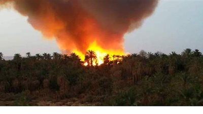 بعد عامين من الكارثة..  الوادى الجديد تبدأ تعويض متضرري حريق الراشدة