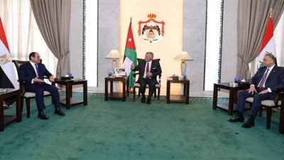 تفاصيل جهود مصر لمكافحة الإرهاب.. أبرزها تحذيرات الرئيس السيسي