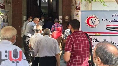 انطلاق انتخابات الأطباء البيطريين على مستوى الجمهورية