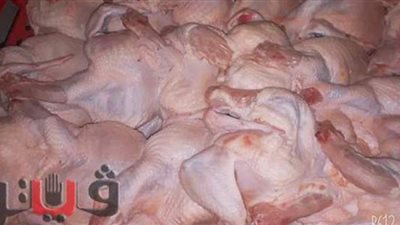 بيطري كفر الشيخ : ضبط 68 طن دواجن فاسدة ومذبوحة خارج المجازر | صور