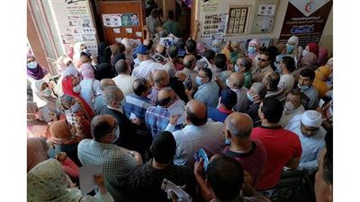 تزايد الإقبال على انتخابات نقابة البيطريين في الدقهلية وغضب لسوء التنظيم | فيديو وصور