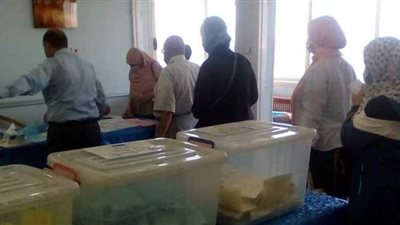 مؤشرات انتخابات البيطريين.. تقدم 