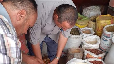 إعدام ٨٧ كيلو مواد غذائية فاسدة فى حملة لإدارة المراقبة بشمال سيناء | صور