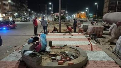 تطوير وتجميل الجزر الوسطى بحي ثان المحلة | صور