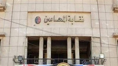 دعوى قضائية تطالب بإلغاء قرار المحامين بدمج النقابات الفرعية والدعوة للانتخابات