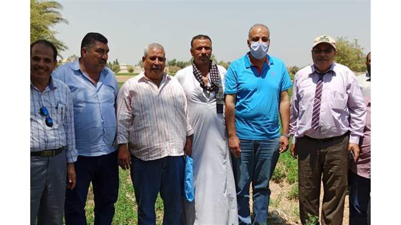 الزراعة تشجع مزارعي