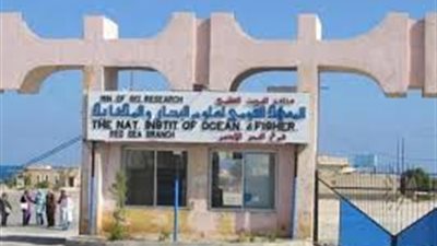 بروتوكول تعاون بين المعهد القومي لعلوم البحار وجامعة هيروشيما