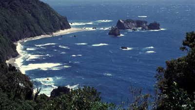 فرنسيون يتوصلون إلى فكرة لتطهير المحيطات من البلاستيك