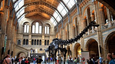 طفل بريطاني يكتشف خطأ بمتحف التاريخ الطبيعي في لندن