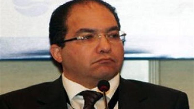 عادل لمعى، رئيس الجانب