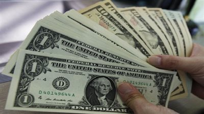 خبيرة اقتصادية: 1.7 مليار دولار إجمالي تحويلات المصريين بالخارج شهريًا