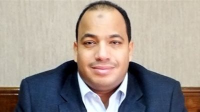 عبدالمنعم السيد: 9 مليارات دولار لتنمية صادرات الملح