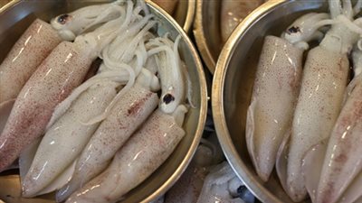 «كاليماري» يسجل 40 جنيها بسوق العبور